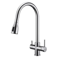 Смеситель для кухни с подключением к фильтру Paulmark Lange La214212-CR