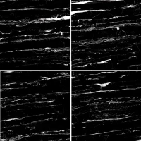 Коллекция плитки Italica Tiles Blanco Portoro