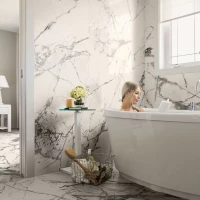 Коллекция плитки Imola The Room