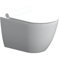 Унитаз подвесной Damixa Apollo DX22C1700SC безободковый, с сиденьем микролифт, белый