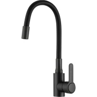 Смеситель для кухни Frud R42052-39 с гибким изливом, оружейная сталь