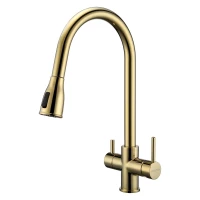 Смеситель для кухни с подключением к фильтру Paulmark Lange La214212-G