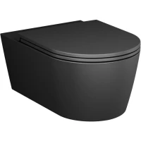 Унитаз подвесной Am.Pm Func C8F1701MBSC безободковый, с сиденьем микролифт, черный матовый