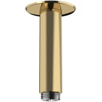 Потолочный кронштейн 100 мм Hansgrohe Raindance 27479990