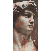 Ковер Kerama Marazzi Давид 1 матовый обрезной 119,5x238,5