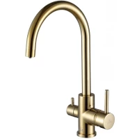 Смеситель для кухни с подключением к фильтру Paulmark Essen Es213211-G