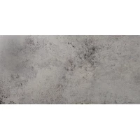 Керамогранит Evolution Gris 49,1x98,2