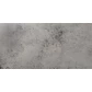 Керамогранит Evolution Gris 49,1x98,2