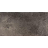 Керамогранит Ceracasa Evolution Lapatto RECT Titanio 49,1x98,2