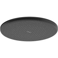 Верхний душ Hansgrohe Raindance Alive S 24520670 300 мм, черный матовый