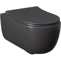Унитаз подвесной Allen Brau Priority 4.31001.AN безободковый, антрацит