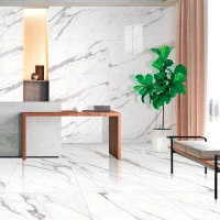 Коллекция плитки Maimoon ceramica Statvario Smart