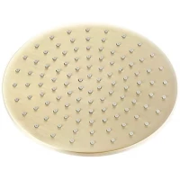 Верхний душ 200 мм Feramolli Tropicale GL770-8