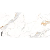 Керамогранит Аletta Glossy 60X120