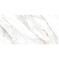 Керамический гранит Statuario Glenza 60x120