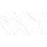 Керамогранит Neo Calacatta матовый GFU60120NCL04R 60x120