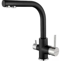 Смеситель для кухни Paulmark Essen Es213011-BLM с подключением к фильтру, черный металлик