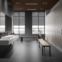 Коллекция Laparet Sandstone Graphite PRO