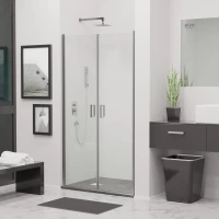 Душевая дверь 100 см RGW LE-06 Leipzig 06120600-11 прозрачное