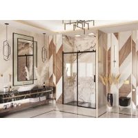 Душевая дверь 160 см Ambassador Benefit 19021205HB прозрачное