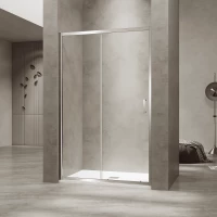 Душевая дверь RGW PA-114 Passage 030811417-11 170 см, профиль хром, стекло прозрачное
