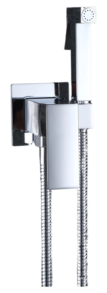 Гигиенический душ Rush Thira TR3635-99 со смесителем, хром