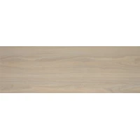 Плитка Tokio TWA11TOK404 20x60