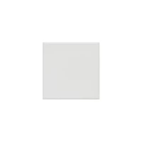 Керамогранит Kerama Marazzi Агуста белый натуральный R10 9,8x9,8 1332S