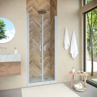 Душевая дверь Vegas Glass E2P NOVO 100 07 01 100 см, профиль матовый хром, стекло прозрачное