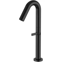 Смеситель для раковины Knotlor Elixir SS-31/BL черный матовый