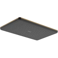 Верхний душ Hansgrohe Raindance Alive Q 24531140 340x210 мм, бронза