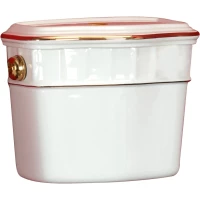 Бачок для унитаза низкий с отверстием для кнопки слива Migliore Gianeta 20936 белый/золото