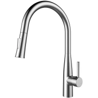 Смеситель для кухни Raiber Graceful RP-011