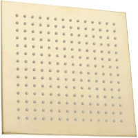 Верхний душ 300 мм Feramolli Tropicale GL772-12