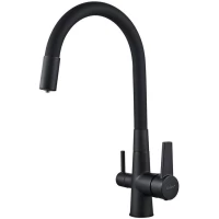 Смеситель для кухни D-Lin D159317-4A с подключением к фильтру, гибким изливом, черный матовый