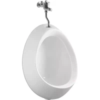 Писсуар CeramaLux X545P подвесной, наружный подвод воды, со смывным механизмом, белый