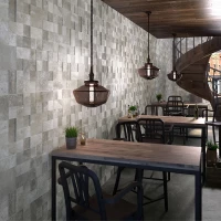 Коллекция плитки Saloni Menhir