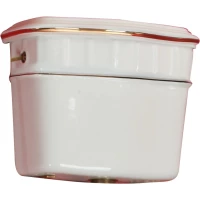 Бачок для унитаза высокий с отверстием для цепочки Migliore Gianeta 20937 белый/золото