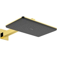 Верхний душ Hansgrohe Raindance Alive Q 24550990 340x210 мм, 2 режима, с кронштейном, золотой