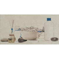 Плитка Studio Decor. Studio Natural B 25x50