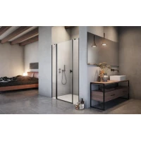 Душевая дверь Radaway Nes Black DWJS 120 Left 10038120-54-01L прозрачное