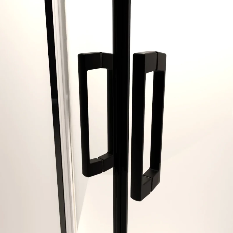 Душевая дверь Radaway Premium Pro Black DWJ 120L 1014120-54-01L профиль черный матовый, стекло прозрачное