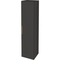 Пенал Jacob Delafon Odeon Rive Gauche EB2570D-R8-M53 подвесной R, серый антрацит матовый