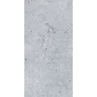 Керамогранит LEEDS Gris 60x120