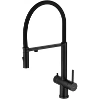 Смеситель для кухни Wonzon & Woghand WW-88458009-MB с подключением к фильтру, гибким изливом, черный матовый