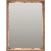 Зеркало Brevita Dallas DAL-02060-074 60x80 см, с LED-подсветкой, сенсорным выключателем, дуб галифакс