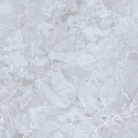 Керамогранит E-3019/M Genio Серый Матовый 60x60