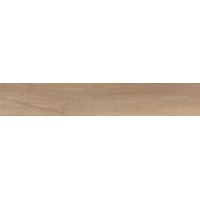 Керамогранит 72998 Antique Clay Nat.Rettificat 20x120