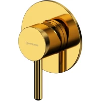 Смеситель для душа Whitecross Y Y1245GL