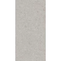 Керамогранит Kerama Marazzi Чеппо ди Гре серый светлый матовый 60x119,5 DD507620R 